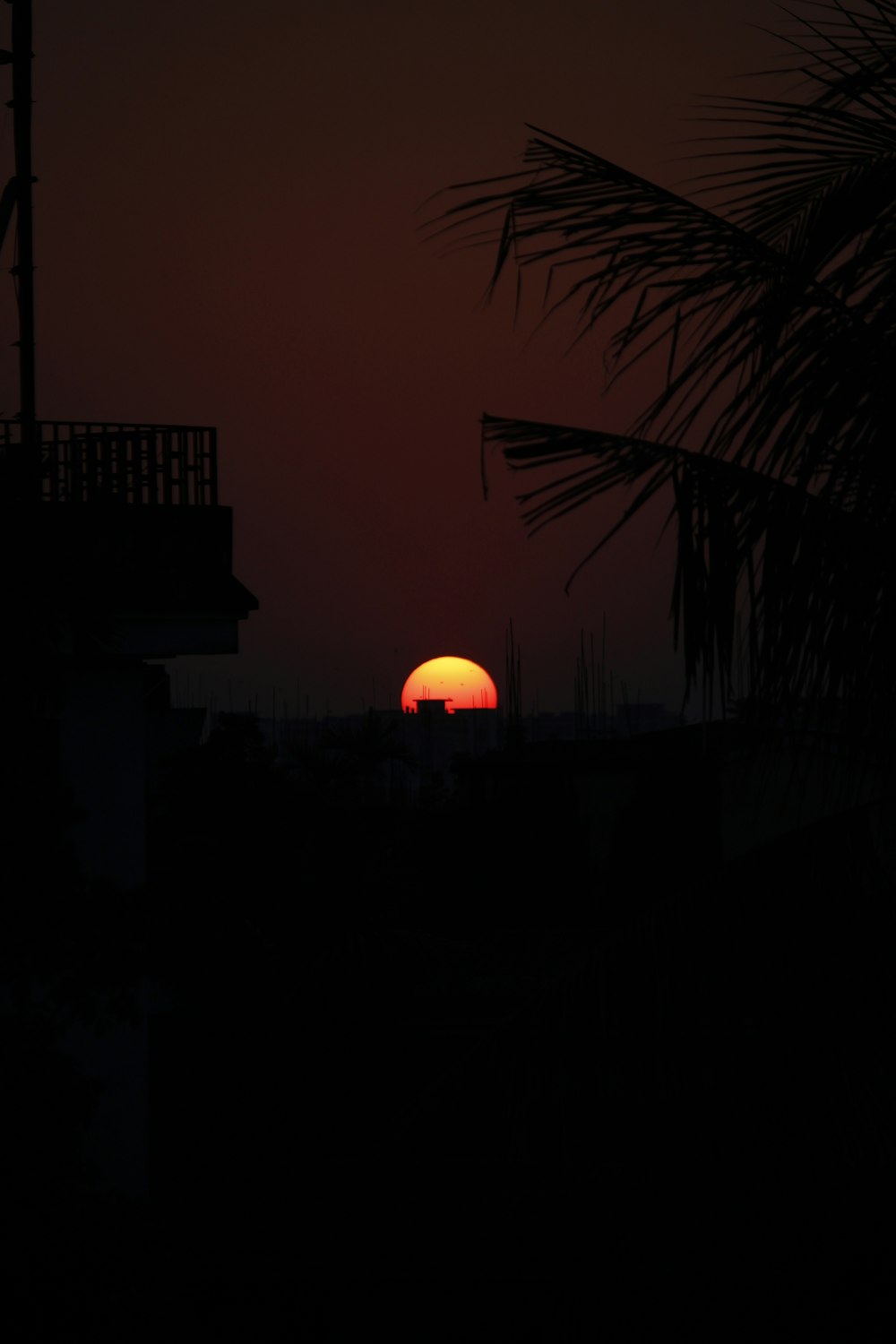 the sun is setting behind a palm tree