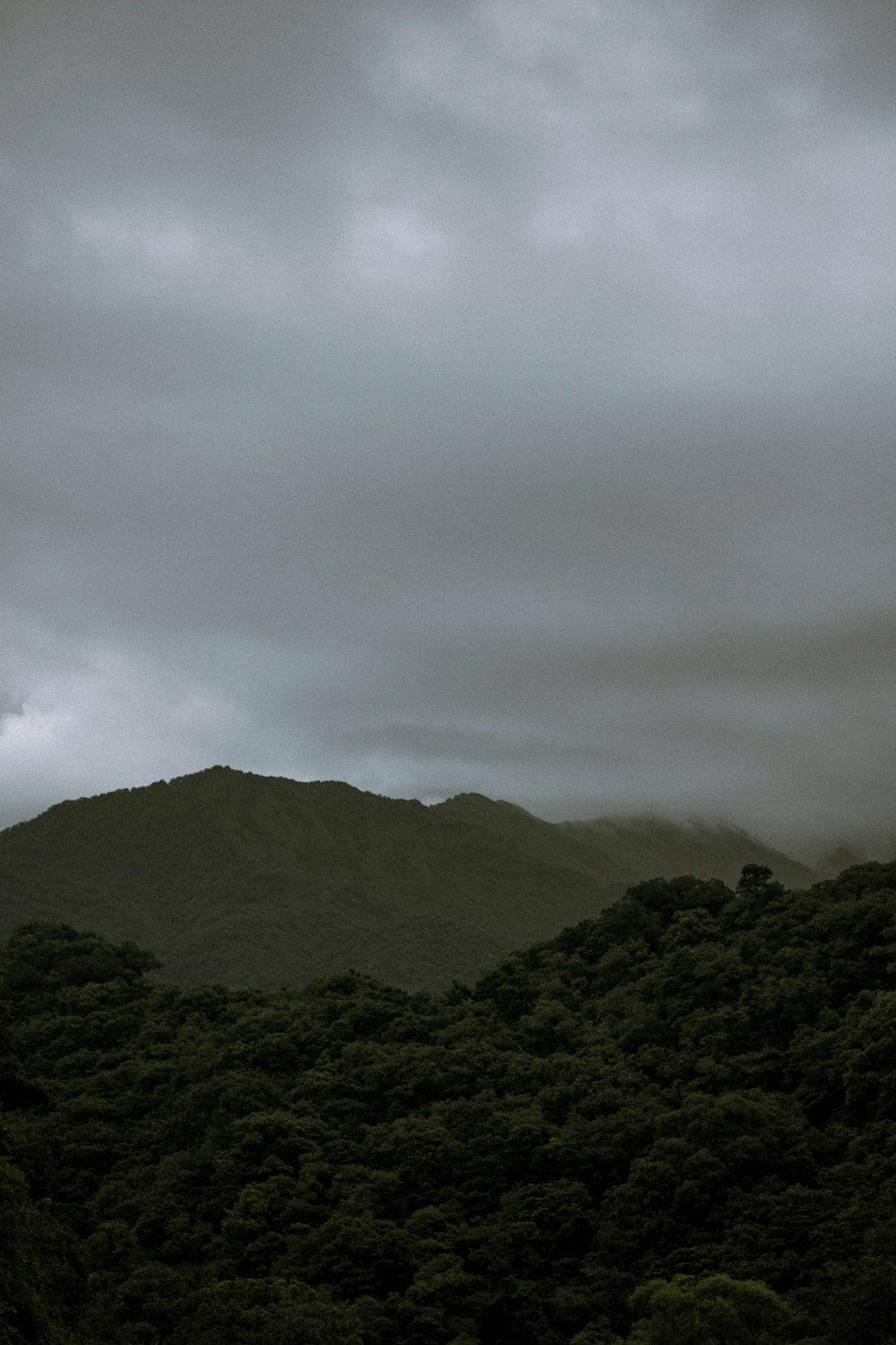 a hill with trees on it under a cloudy sky