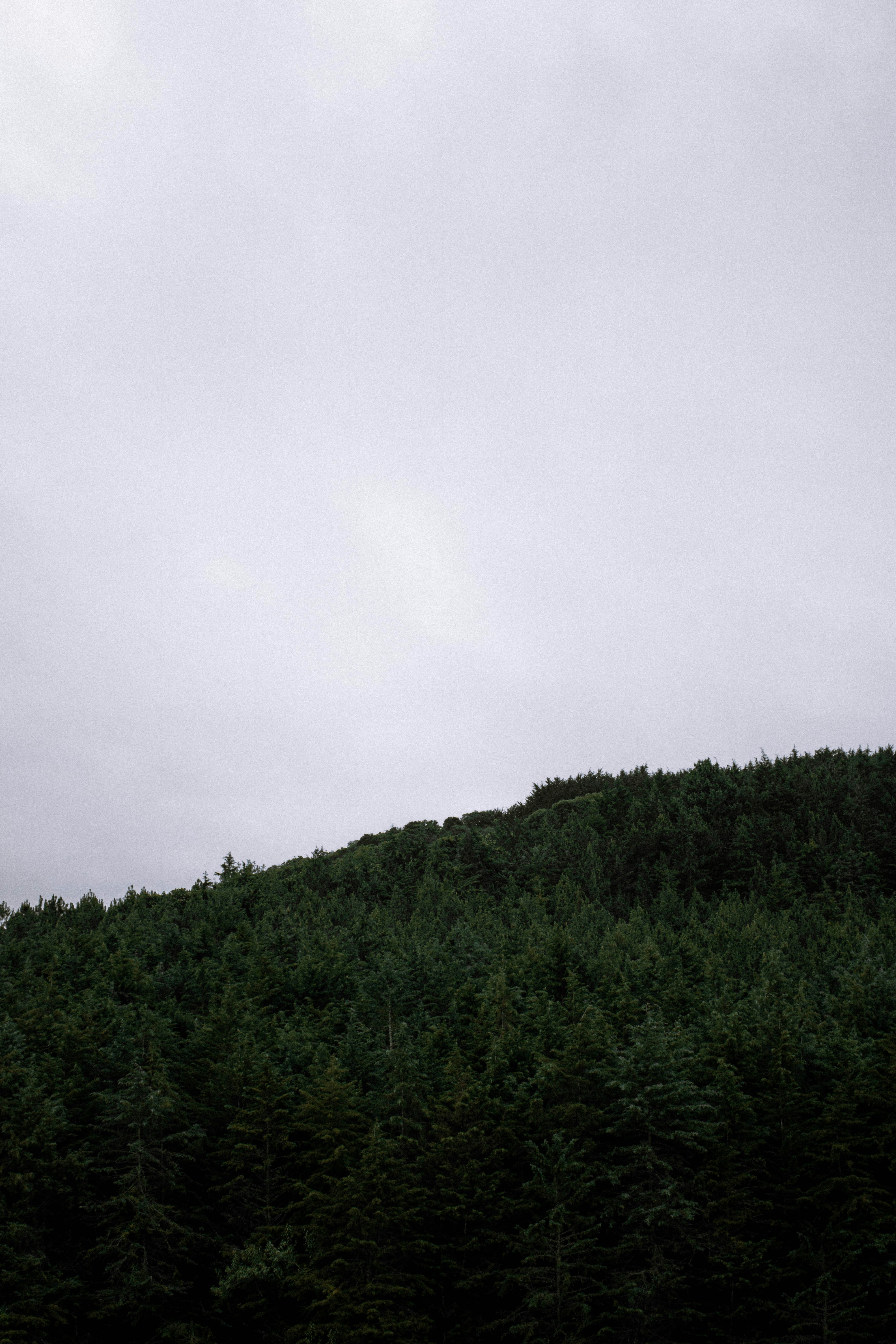 Photo by wealvarostuff