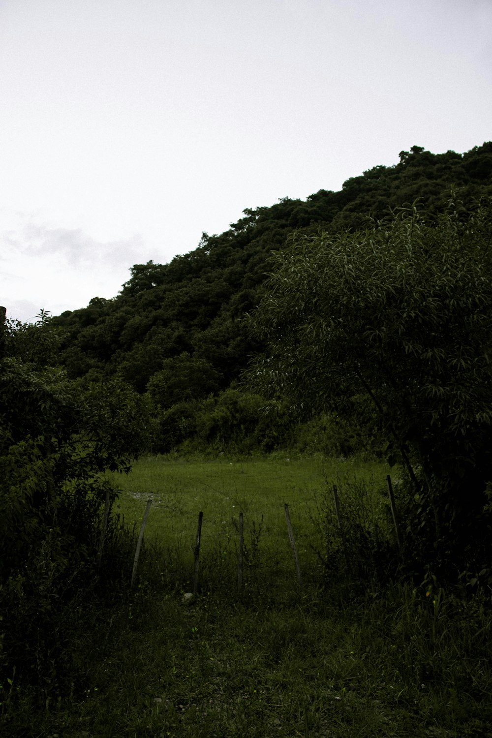 a grassy hill with a fence in the foreground