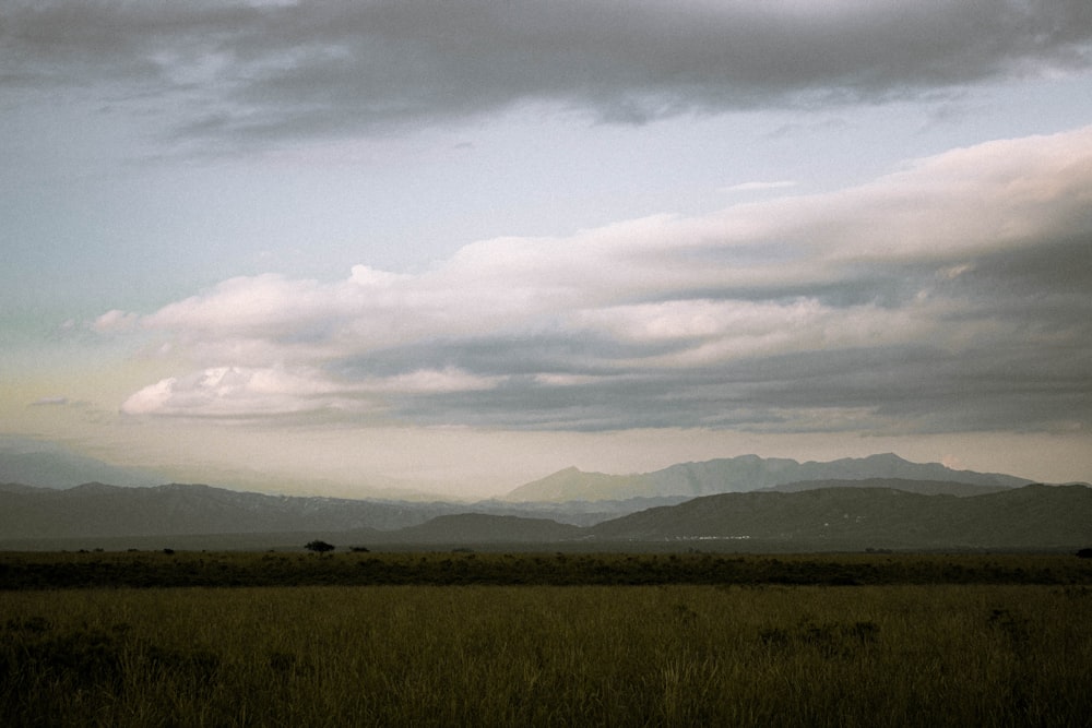 a grassy field with mountains in the distance