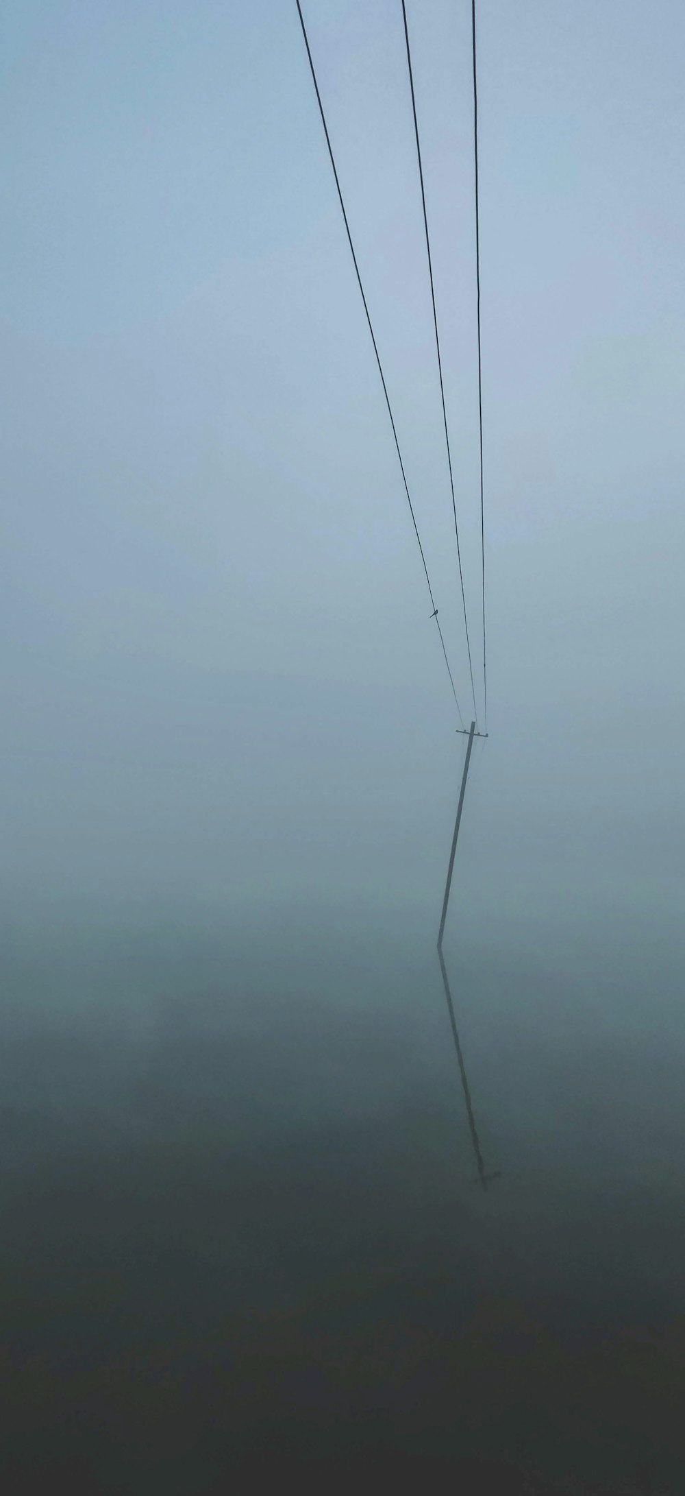 black coated wire on fog