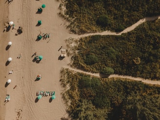 Scenic view of a sunny beach near Alicante visited by Letsgogroup tour participants