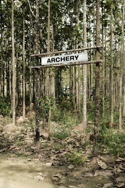 A forested area with tall, slender trees and a simple sign reading 'ARCHERY' suspended between two wooden poles. The ground is covered with dry leaves and patches of grass, and the atmosphere seems quiet and secluded.
