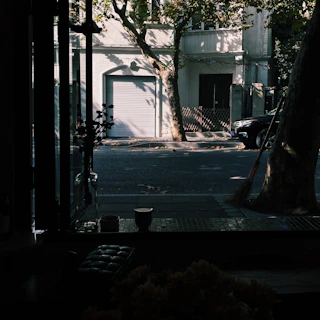 A sunny window view from the therapy space showing a quiet street in Aarle-Rixtel.