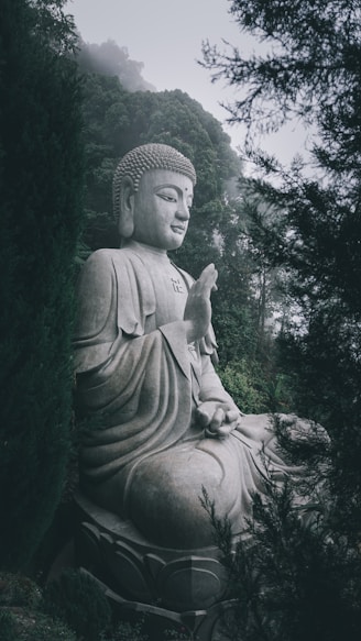 gray concrete statue of a man