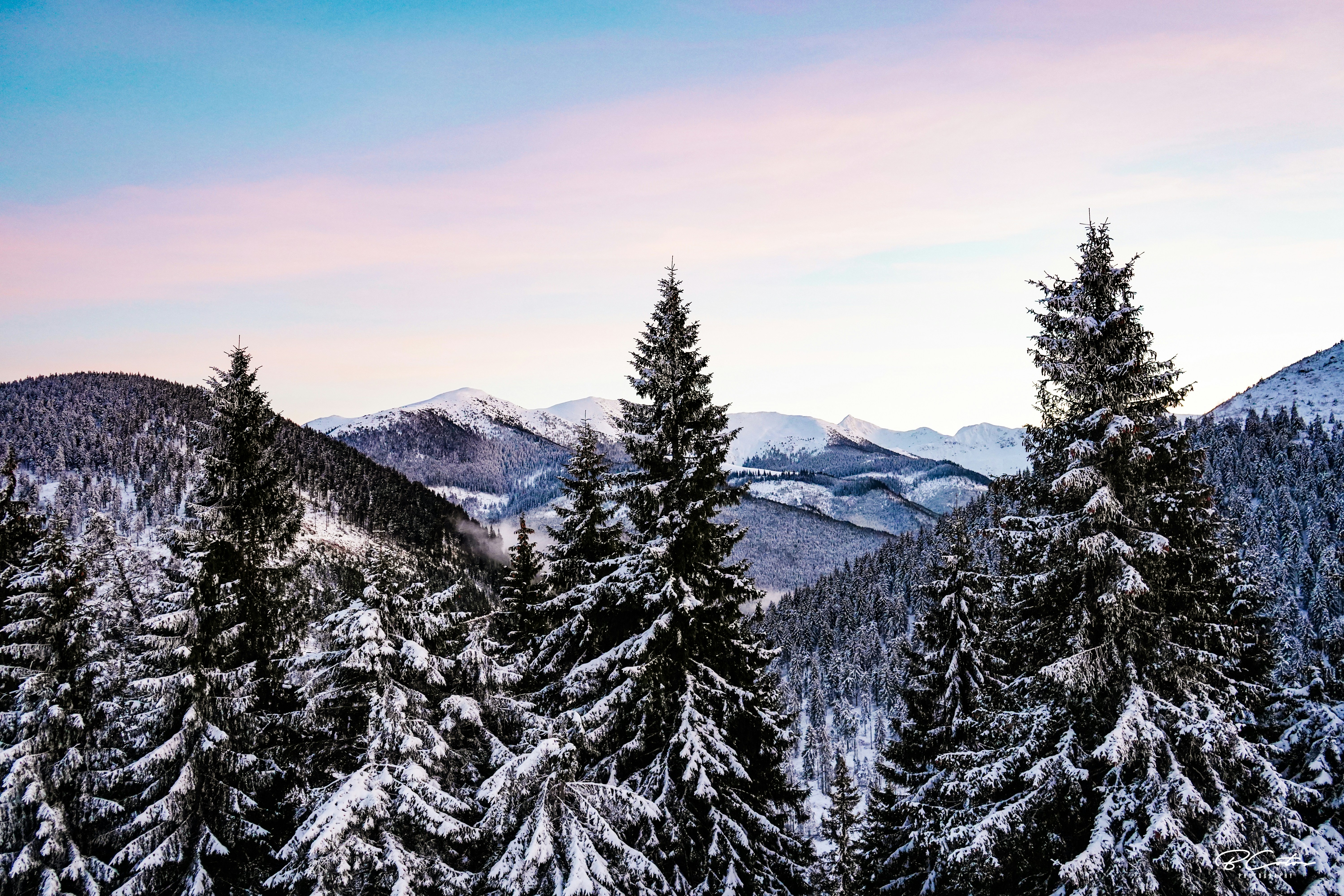 Photo by bogdan_cotos