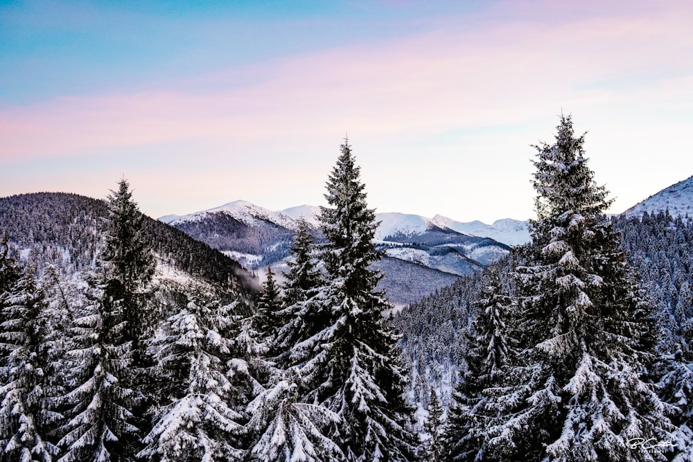 snow covered mountain during daytime