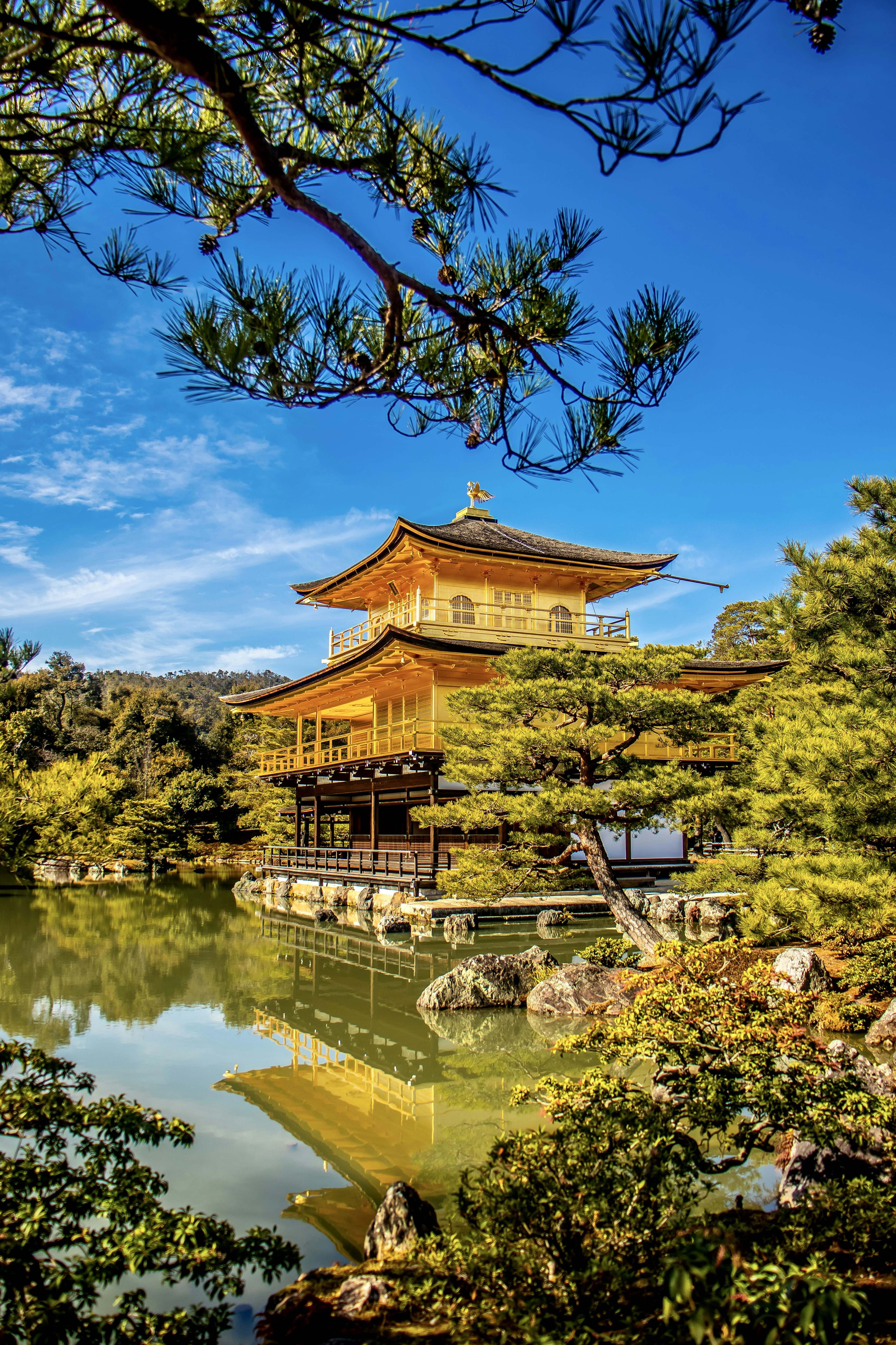 Photo by bythepeople