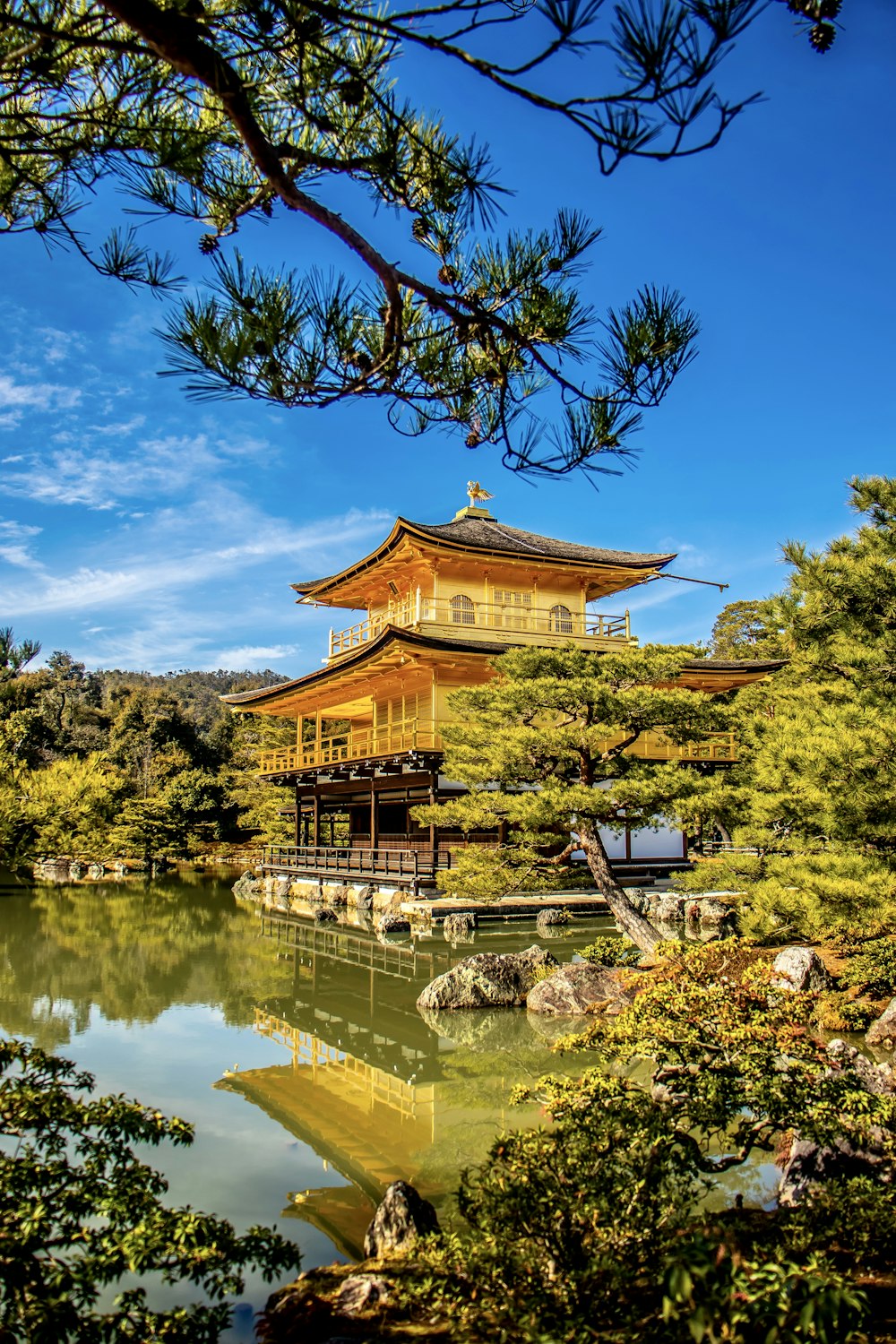 brown and white temple near green trees and river under blue sky during daytime