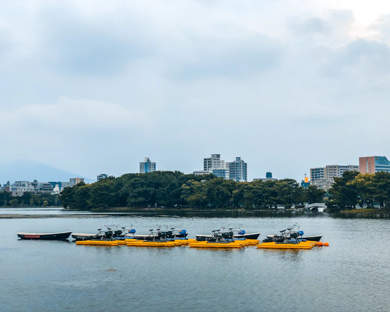 The Perfect One-Day Itinerary in Fukuoka: Where to Go and When