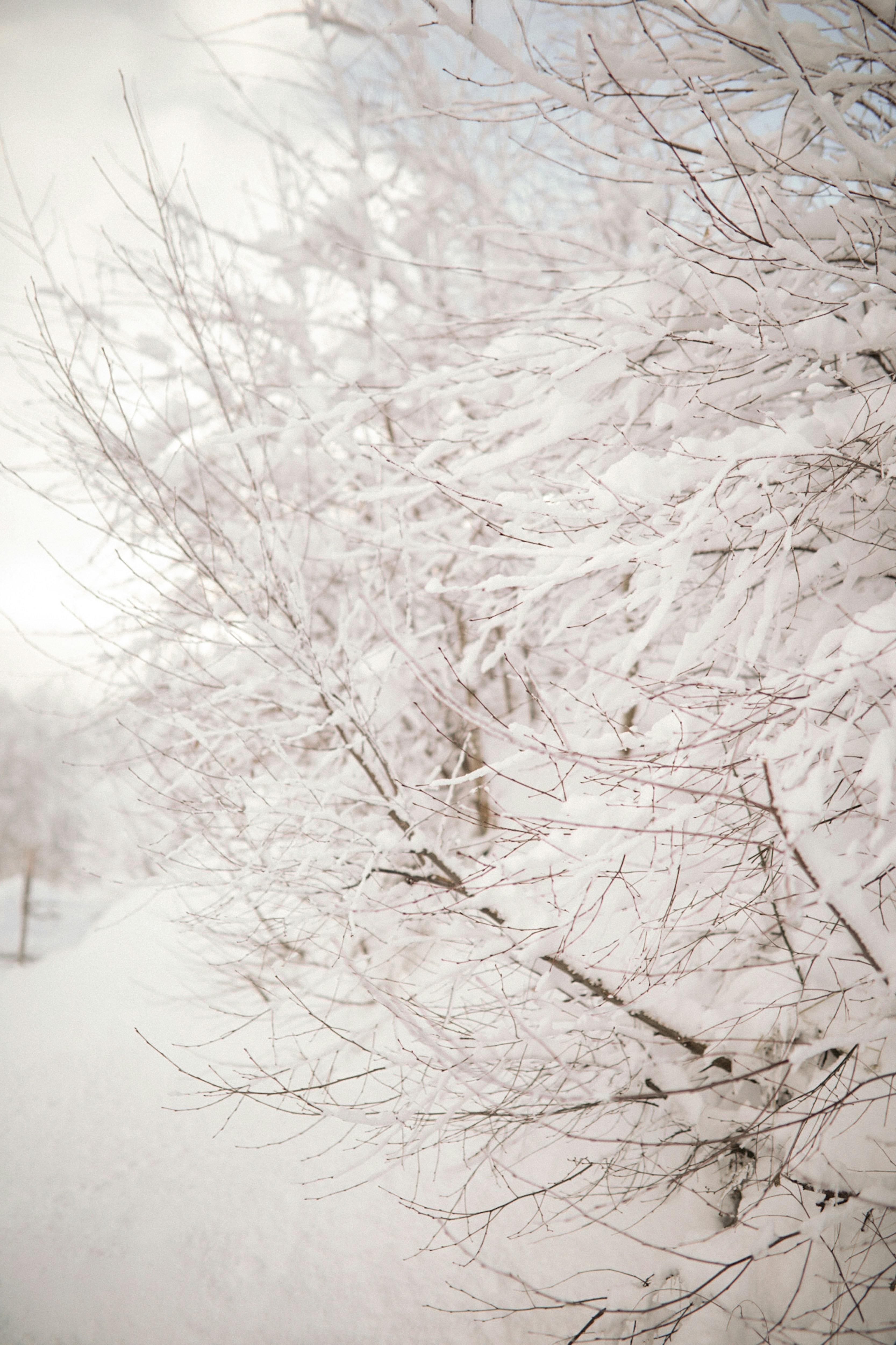 Photo by kajareichardtphotos