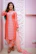 Model gracefully posing in a pastel chanderi suit with soft gold accents.