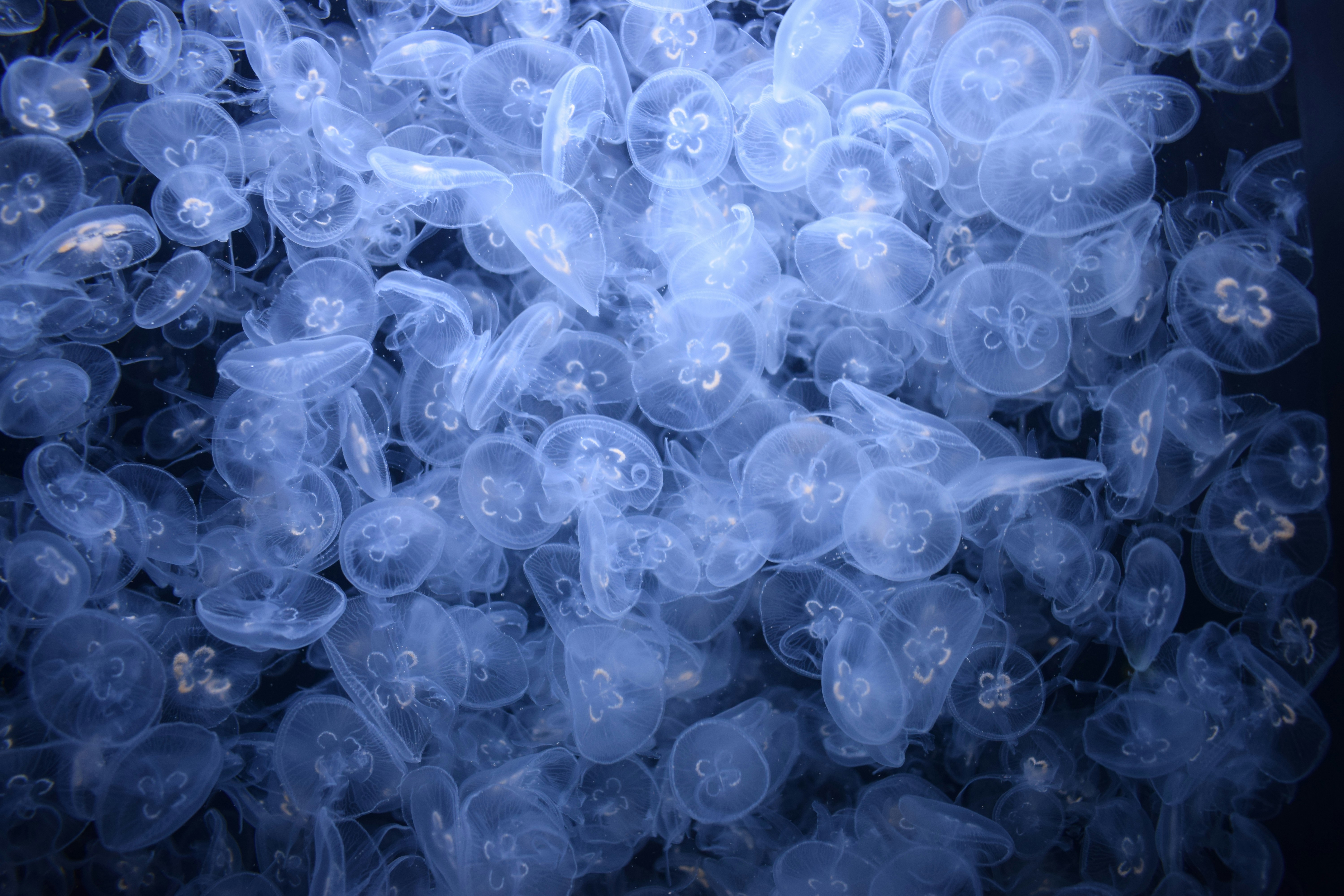 Photo by mikulecmichal