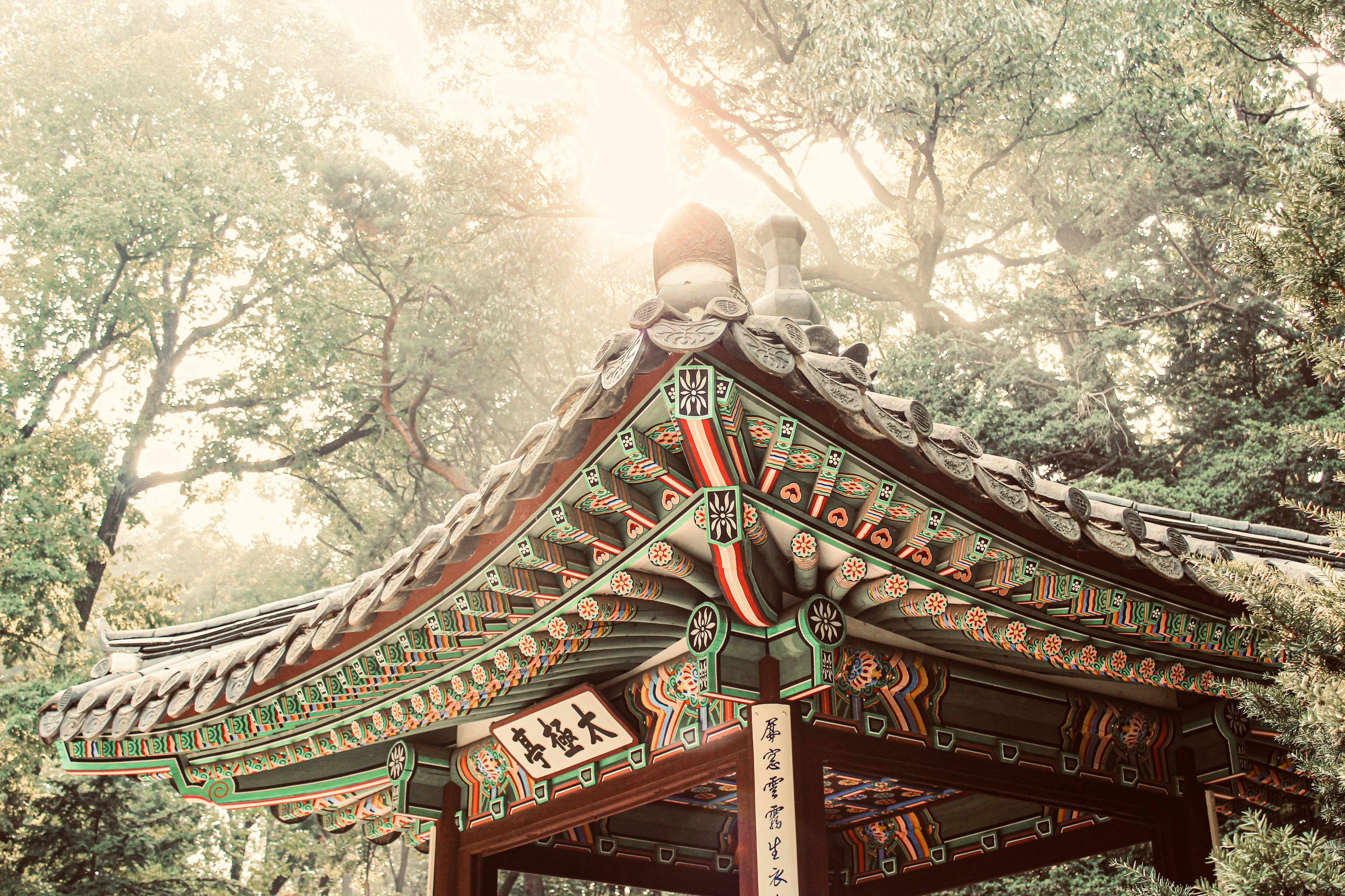 Photo by kajareichardtphotos