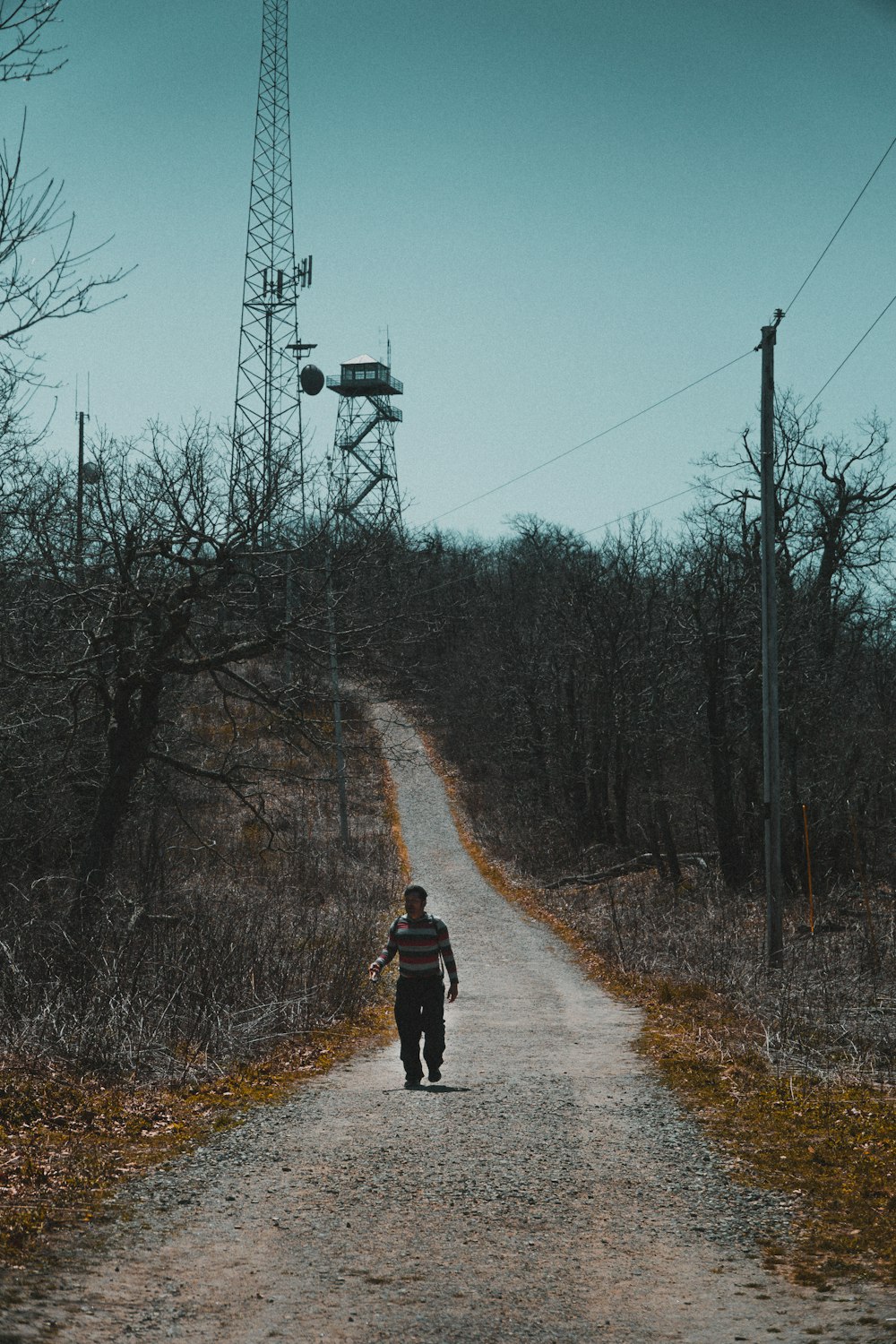 person in black jacket and black pants walking on pathway between bare trees during daytime