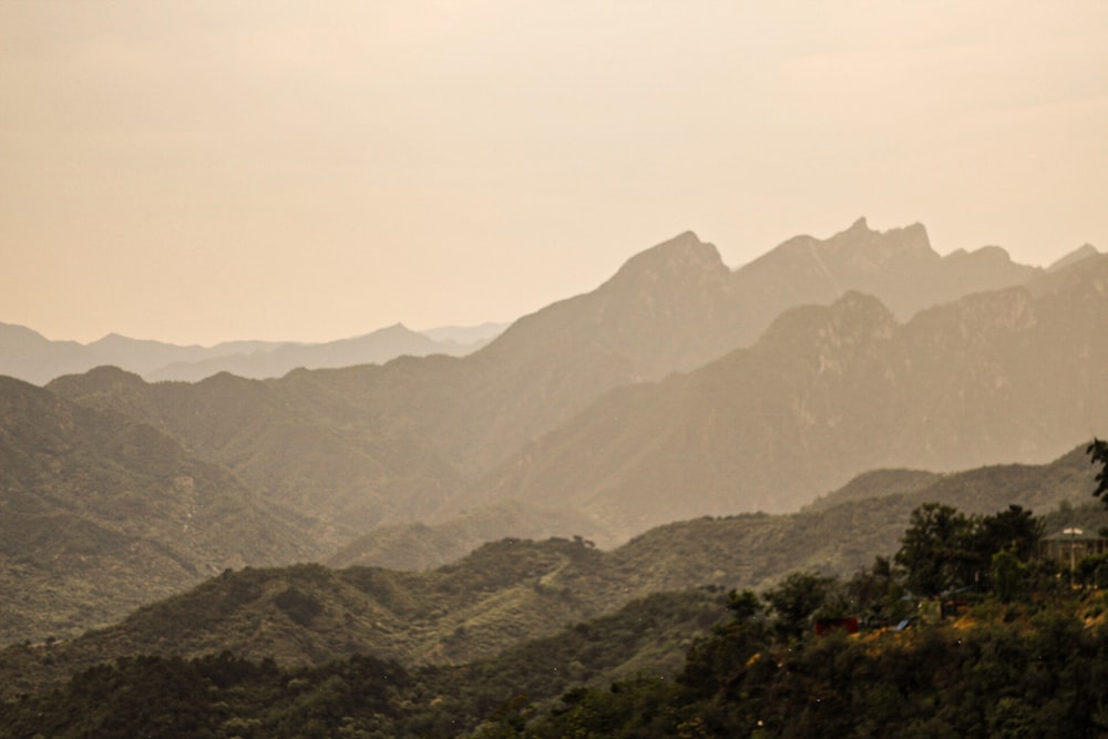 green trees on mountain during daytime