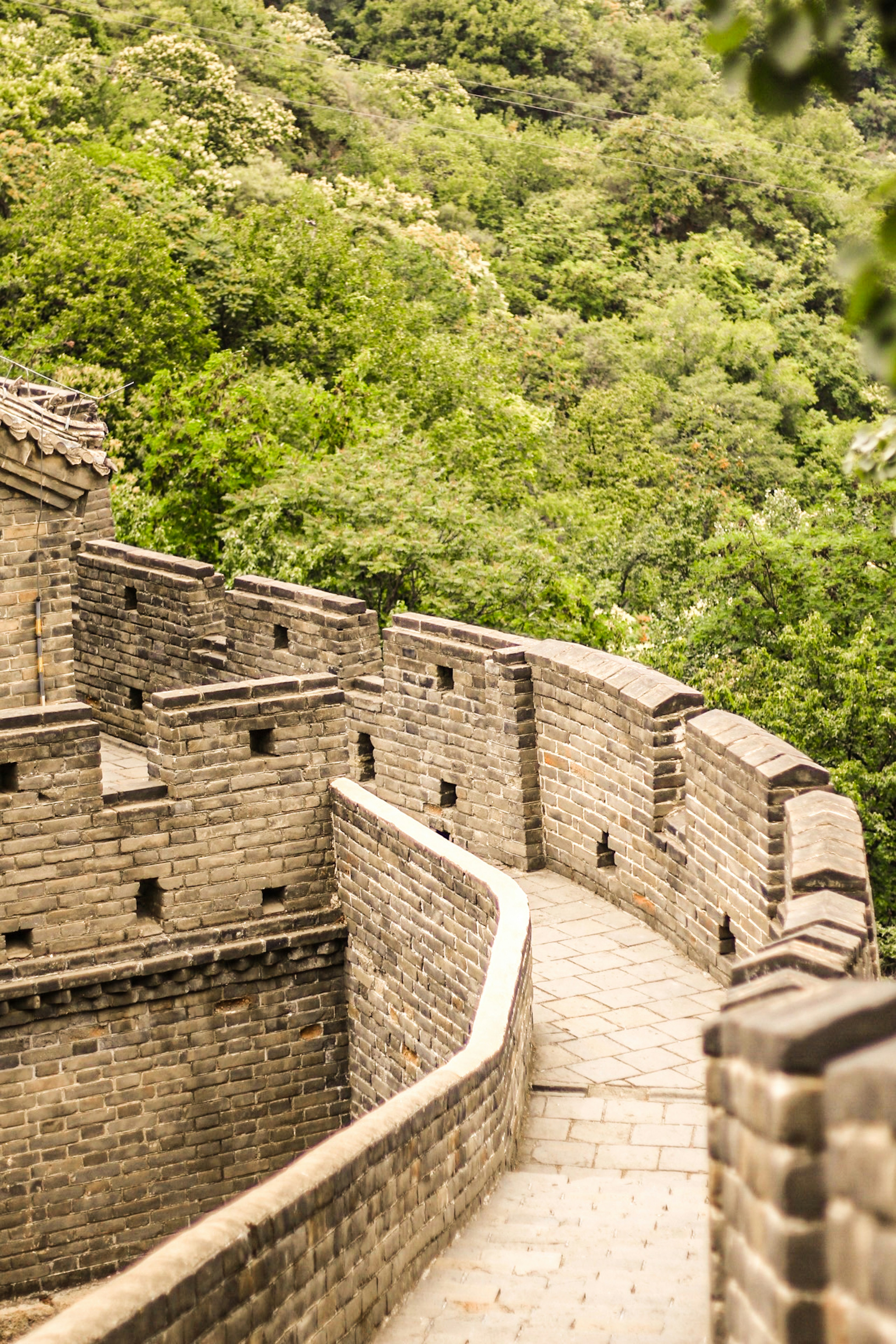 Photo by kajareichardtphotos