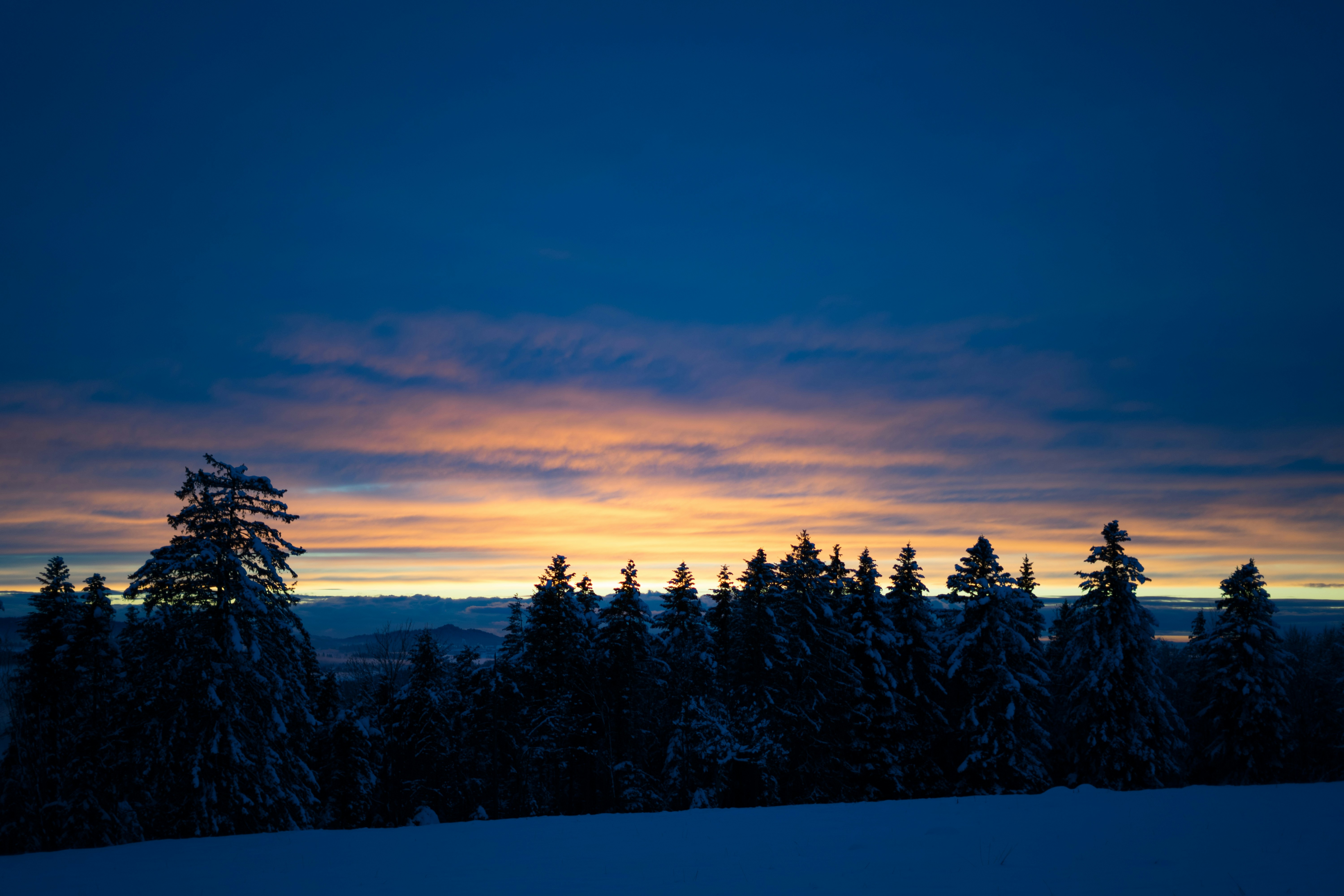 Photo by virussinside