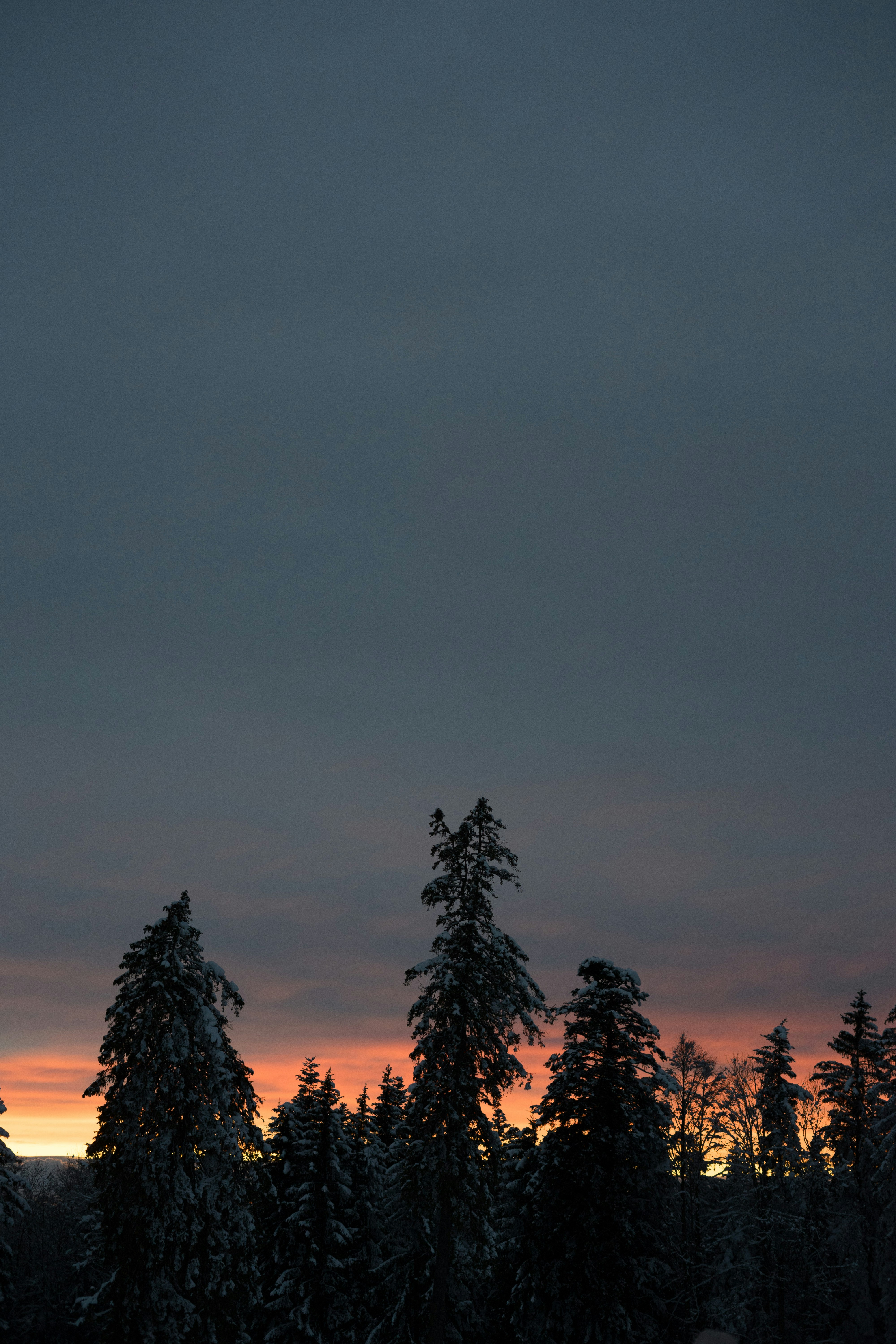 Photo by virussinside