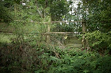 A rustic wooden fence surrounded by lush nature, symbolizing the preservation efforts.