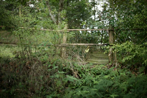 A rustic wooden fence surrounded by lush nature, symbolizing the preservation efforts.
