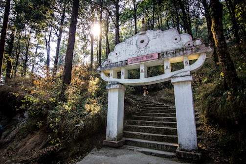 A stone gateway stands at the entrance to a forested area. Rays of sunlight filter through the trees, creating a serene and mystical atmosphere. There are steps leading up through the gateway, which is adorned with traditional carvings and has a pink sign with text. The surrounding area is lush with green foliage and undergrowth.