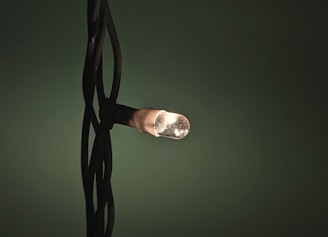 A single small light bulb emits a warm glow, surrounded by dark twisted wires against a dark green background.