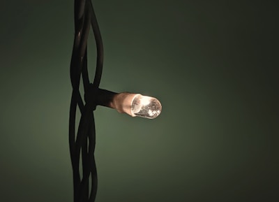 A single small light bulb emits a warm glow, surrounded by dark twisted wires against a dark green background.