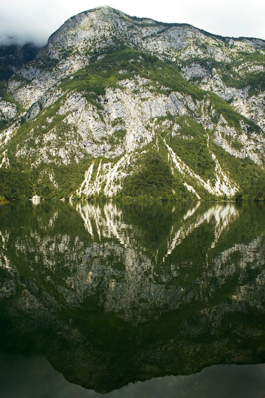 green and white mountain beside lake during daytime in Lake Bohinj Slovenia