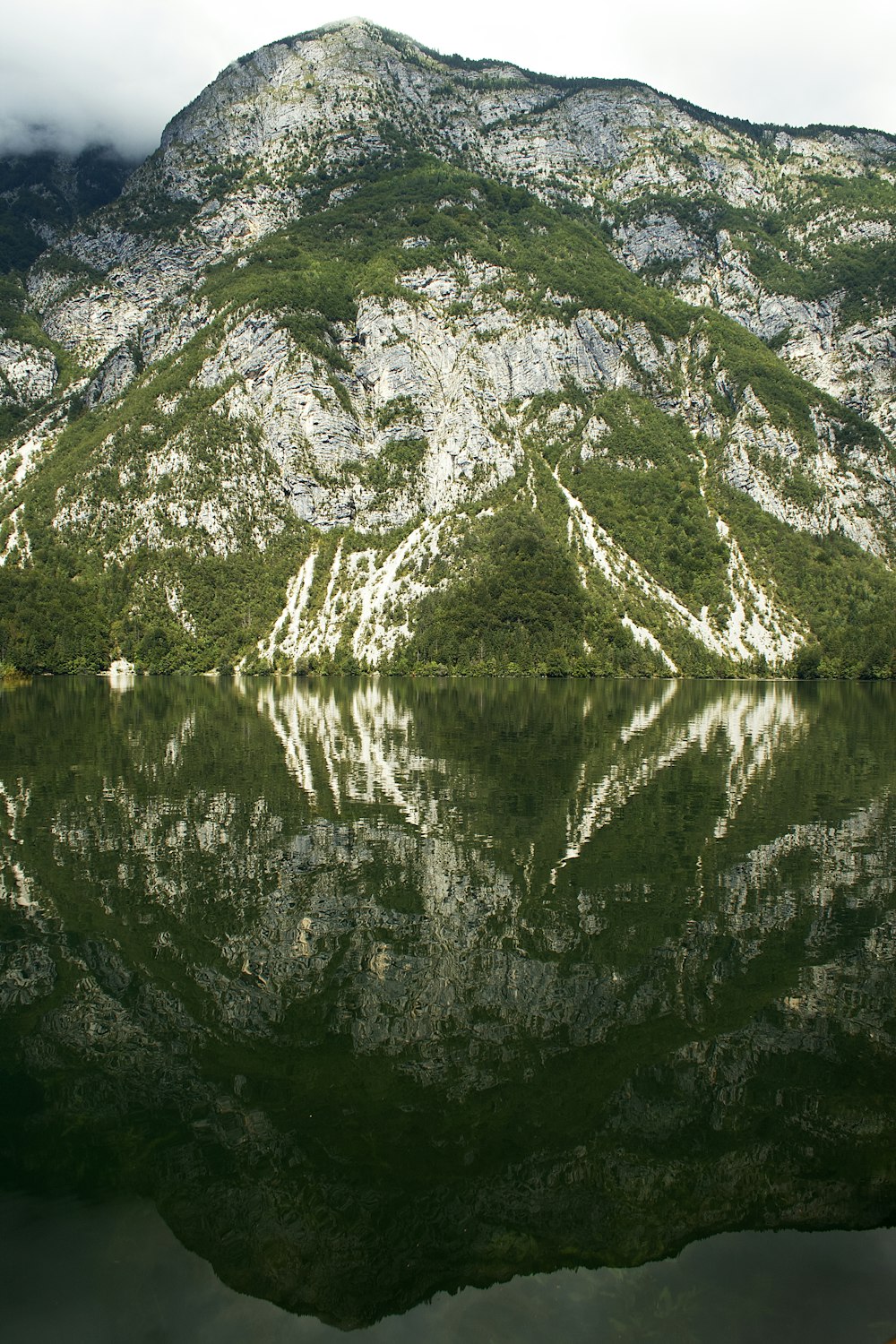 Montagne verte et blanche au bord du lac pendant la journée