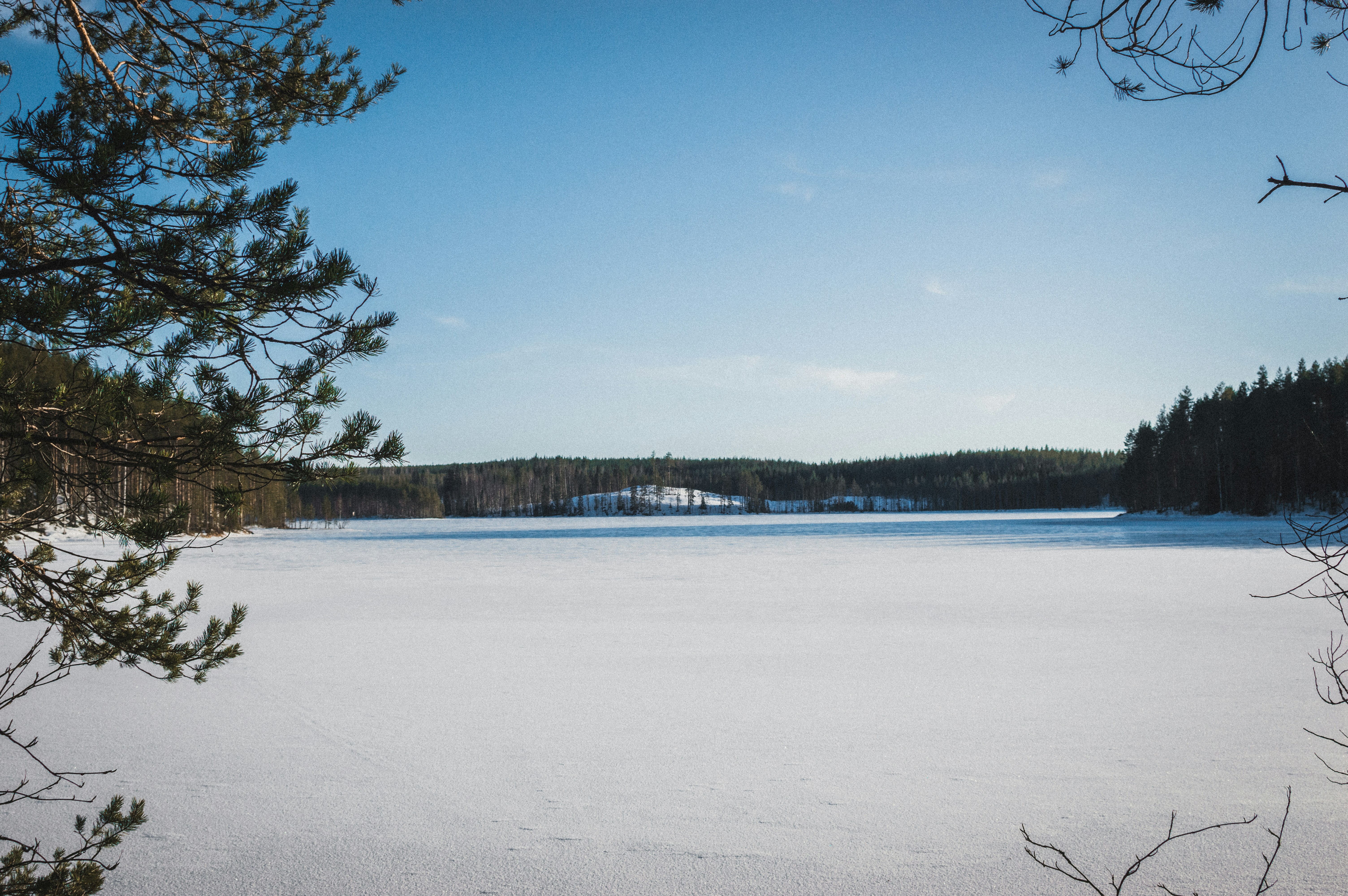 Photo by luca_severin