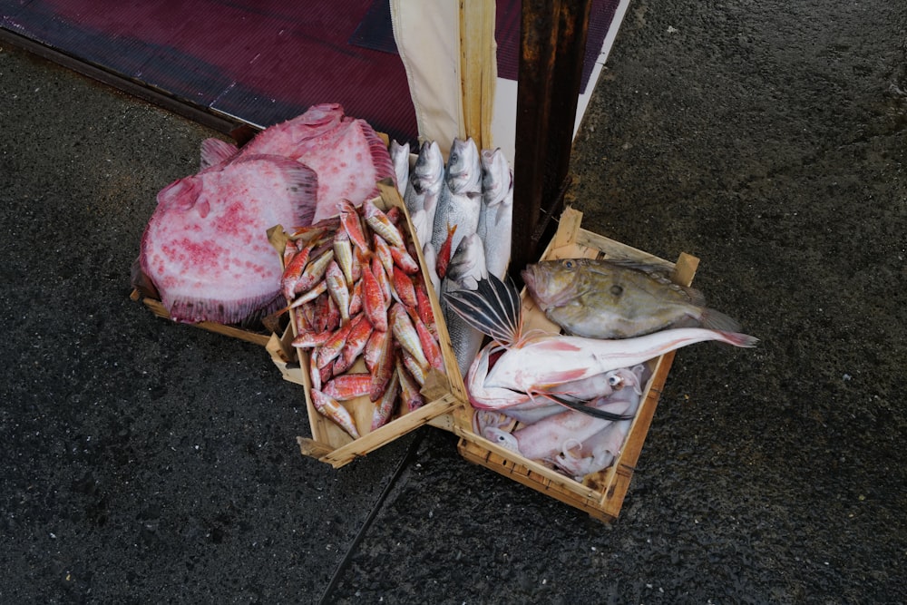 white and red fish on brown wooden crate