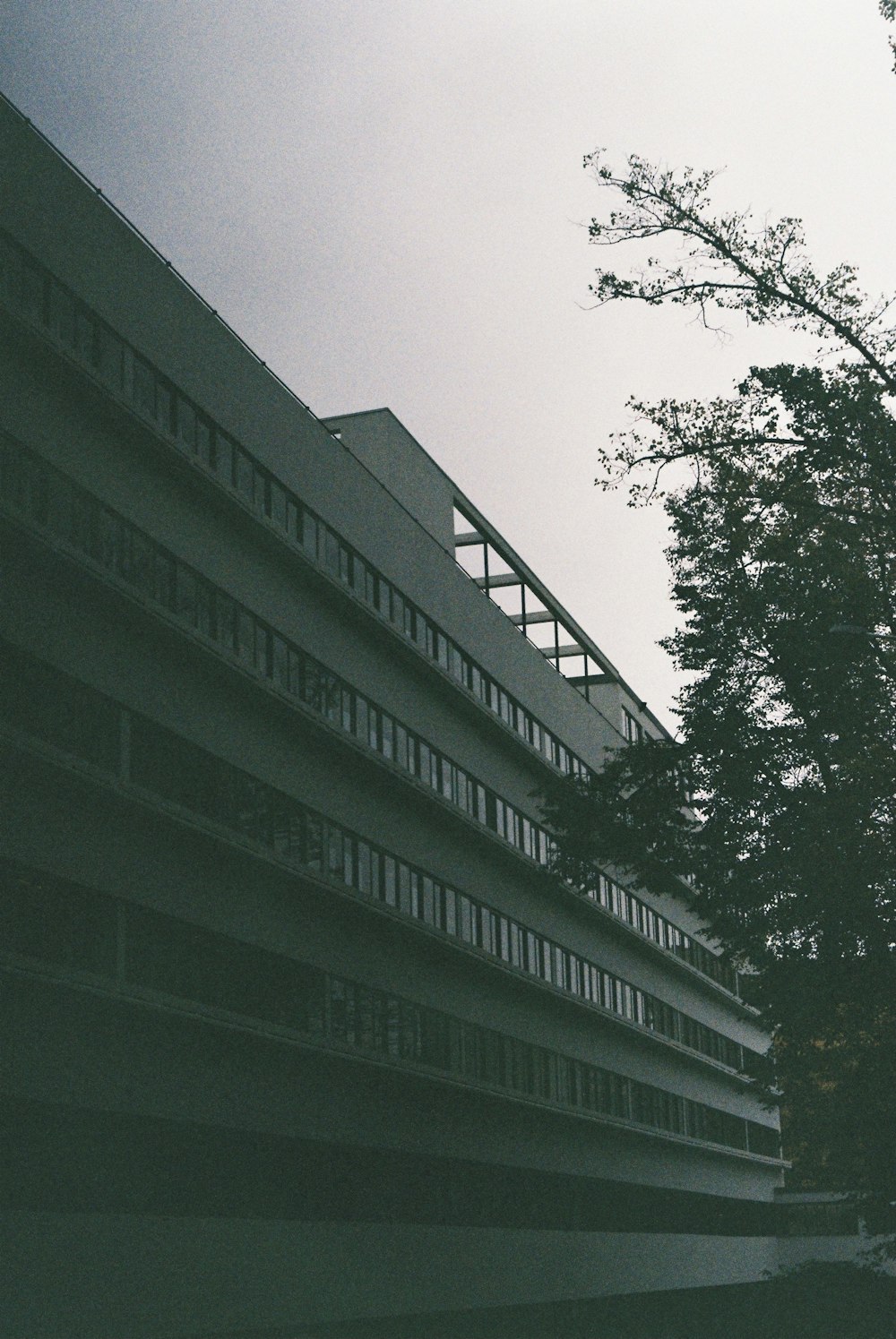 green concrete building during daytime