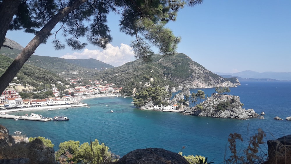 barca bianca sul mare vicino agli alberi verdi durante il giorno