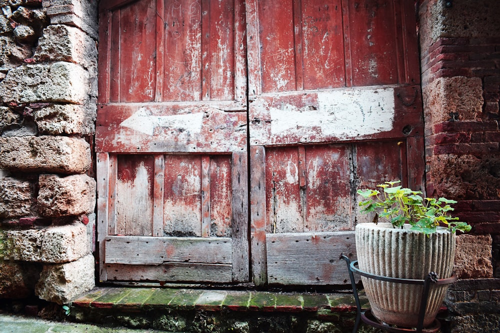 brown wooden door beside green plant