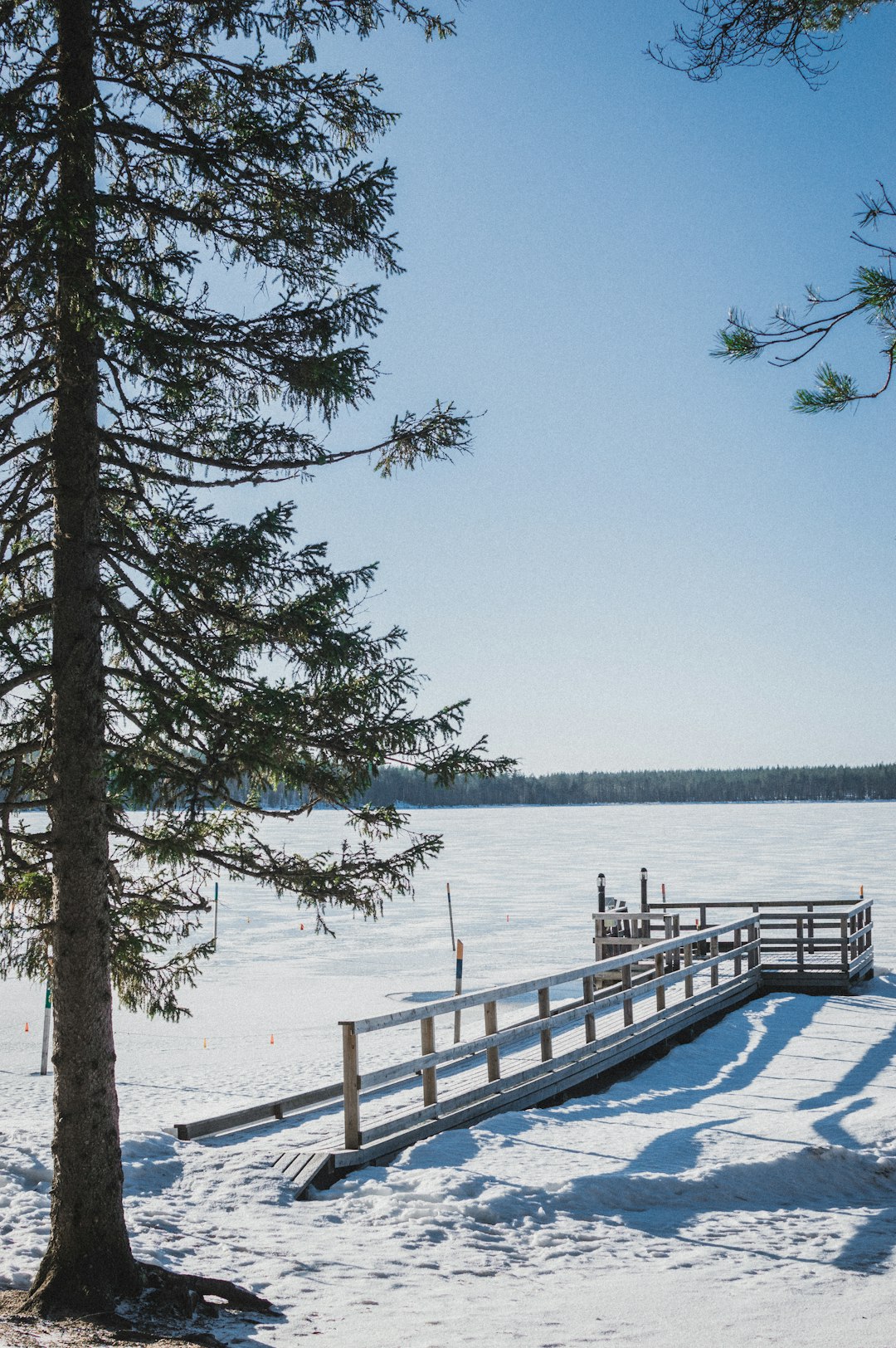 brown wooden dock on white snow covered ground near green trees during daytime