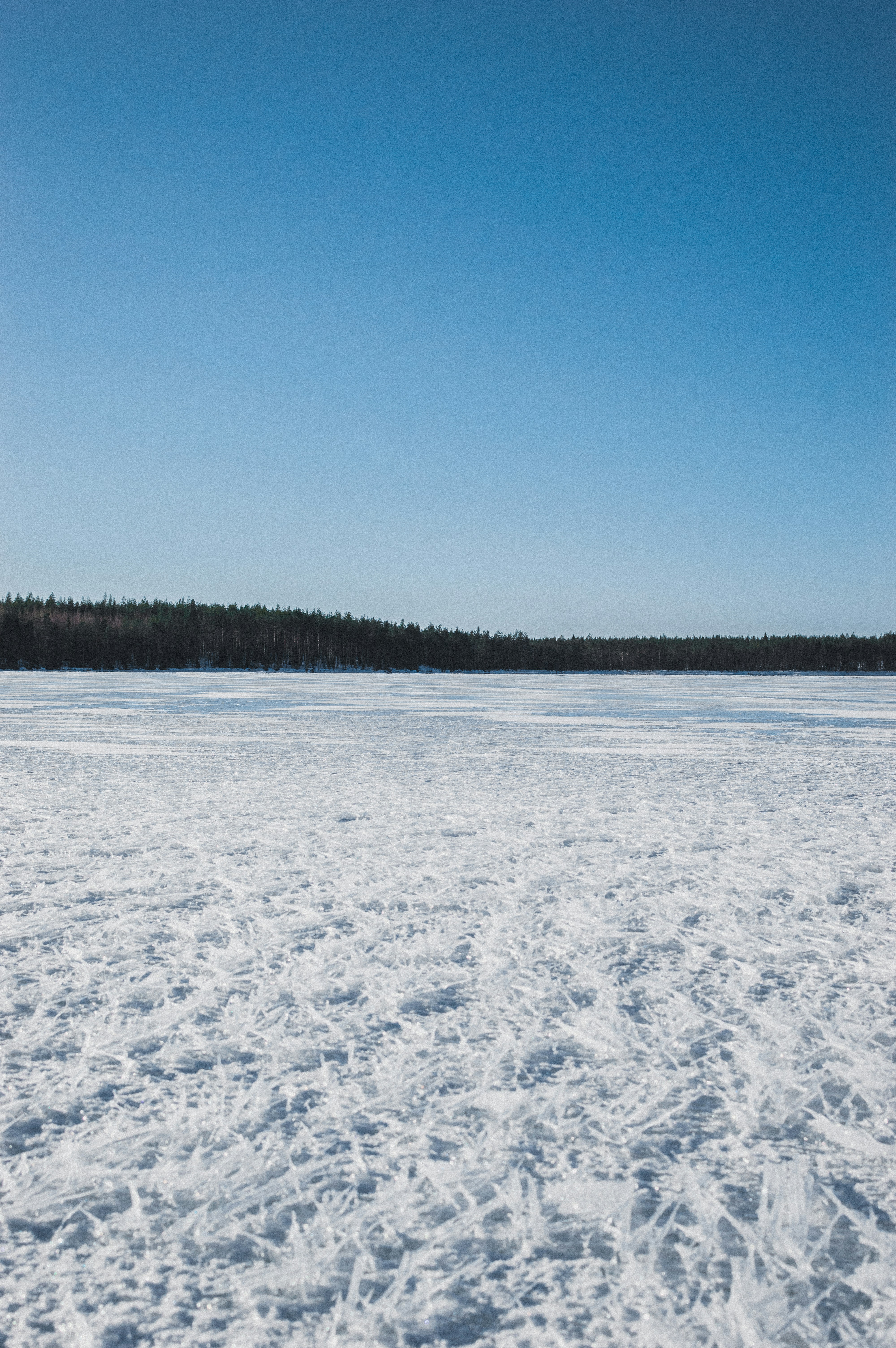 Photo by luca_severin