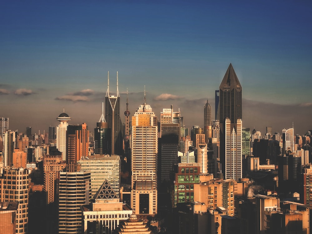 high rise buildings during night time