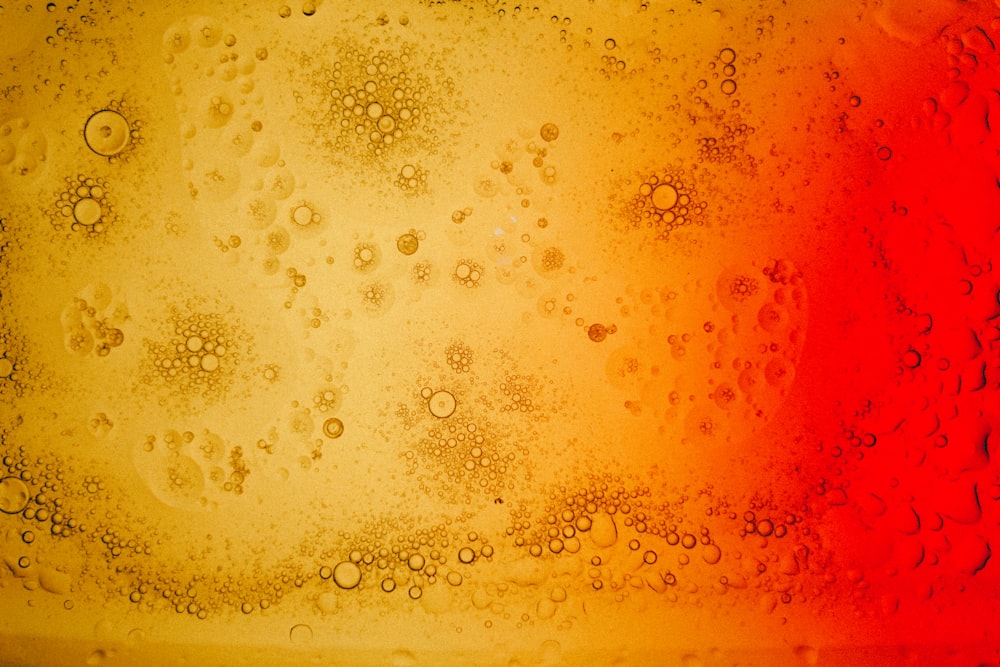 water droplets on glass panel