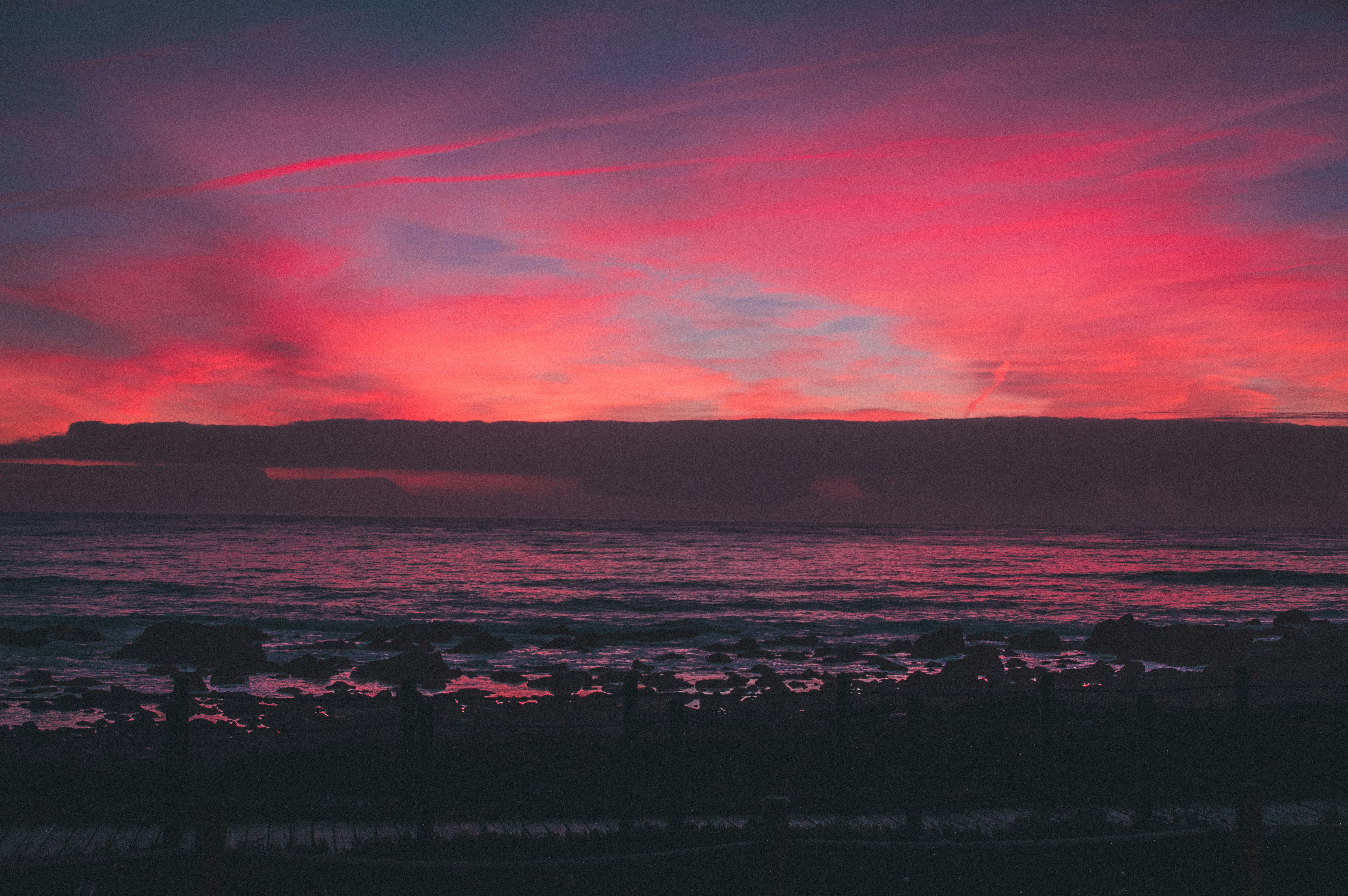 Photo by luca_severin