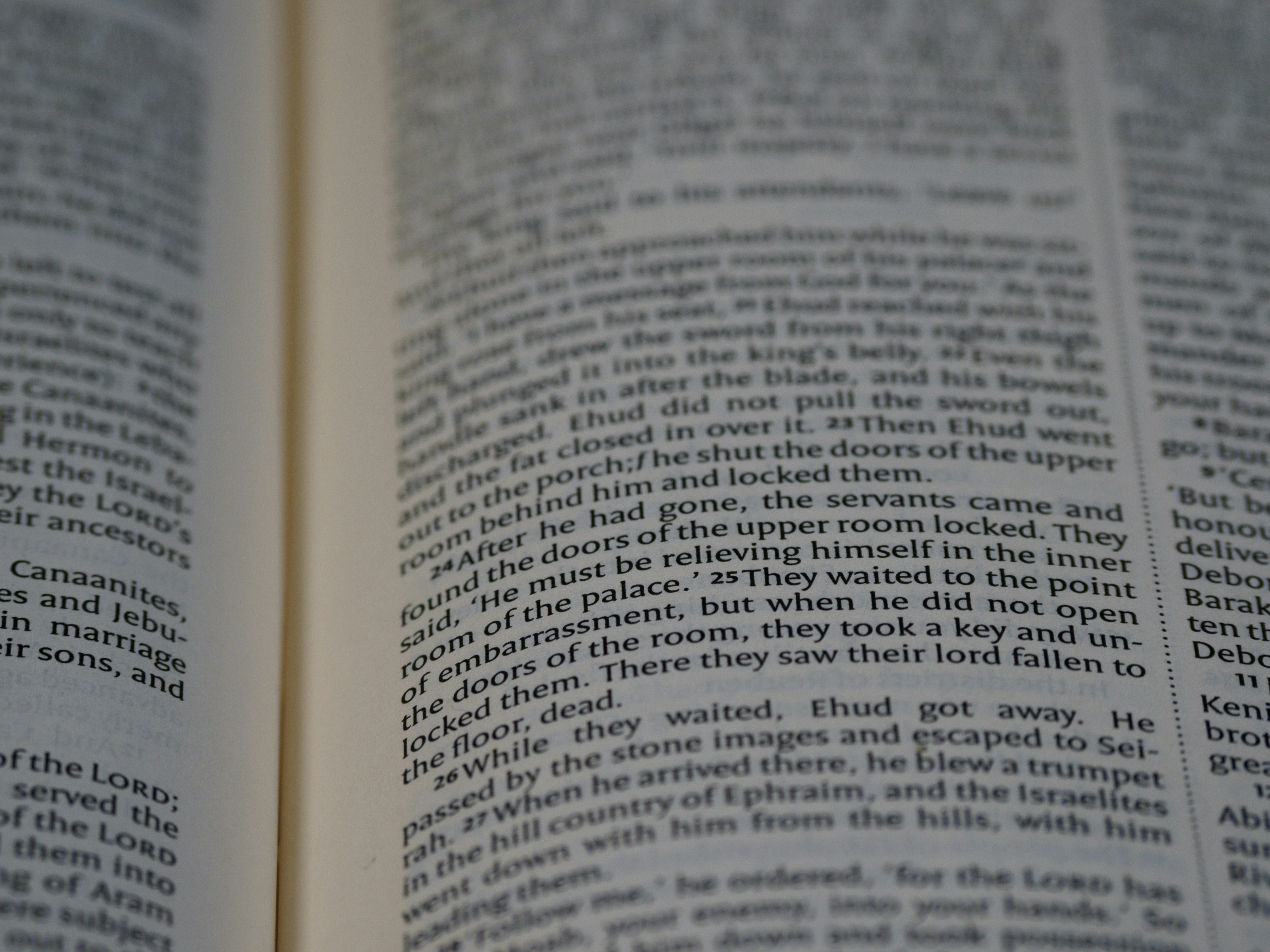 Photo by brett_jordan