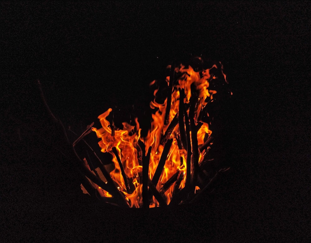 fire in black background with black background