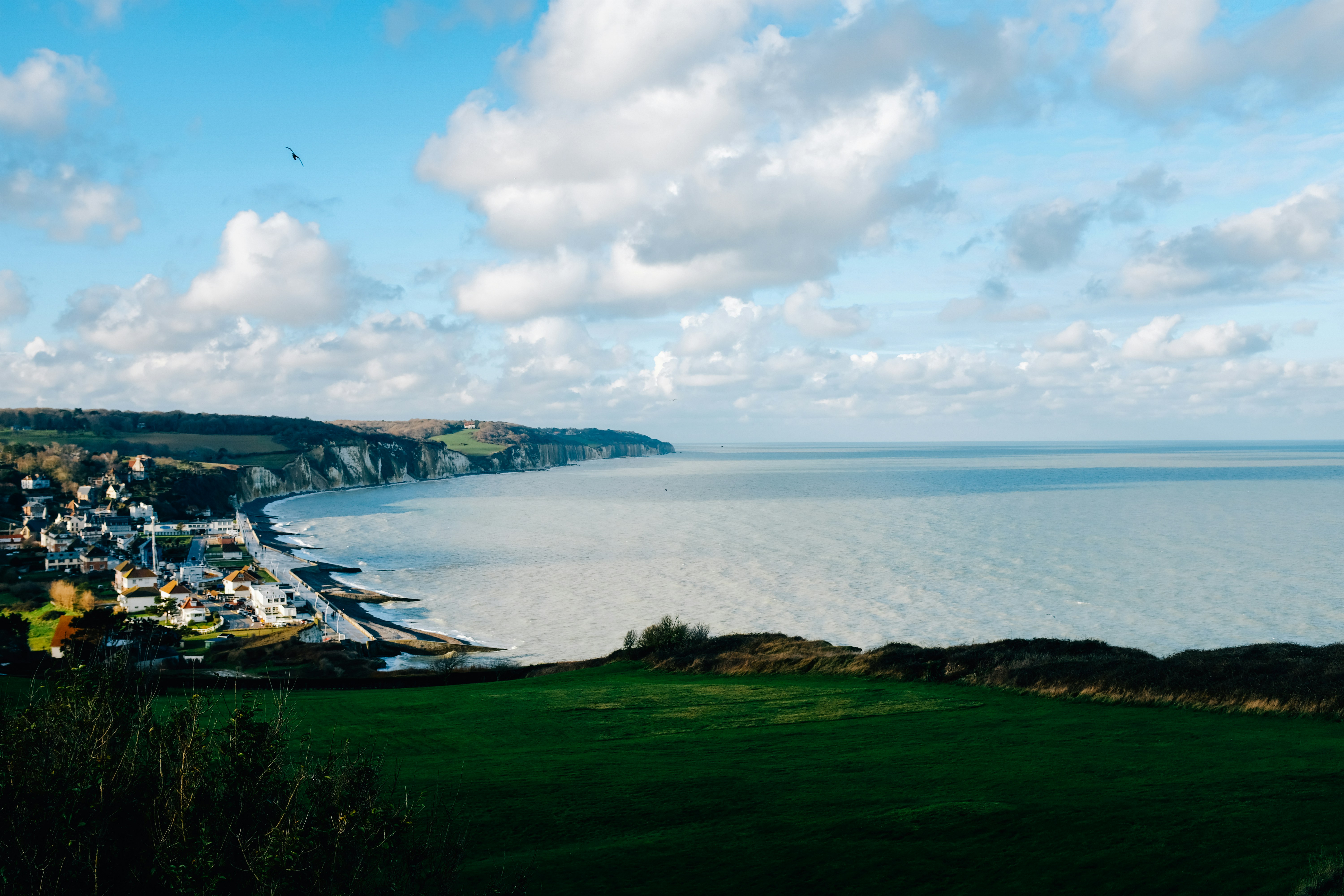 Photo by adrienolichon