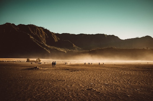 people walking on beach shore during daytime