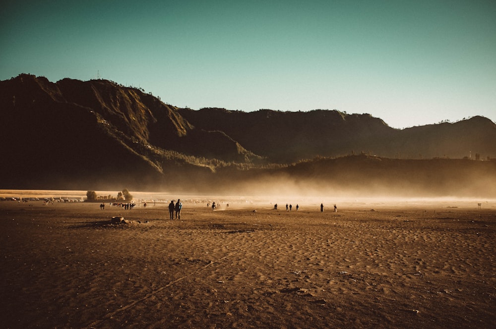 people walking on beach shore during daytime