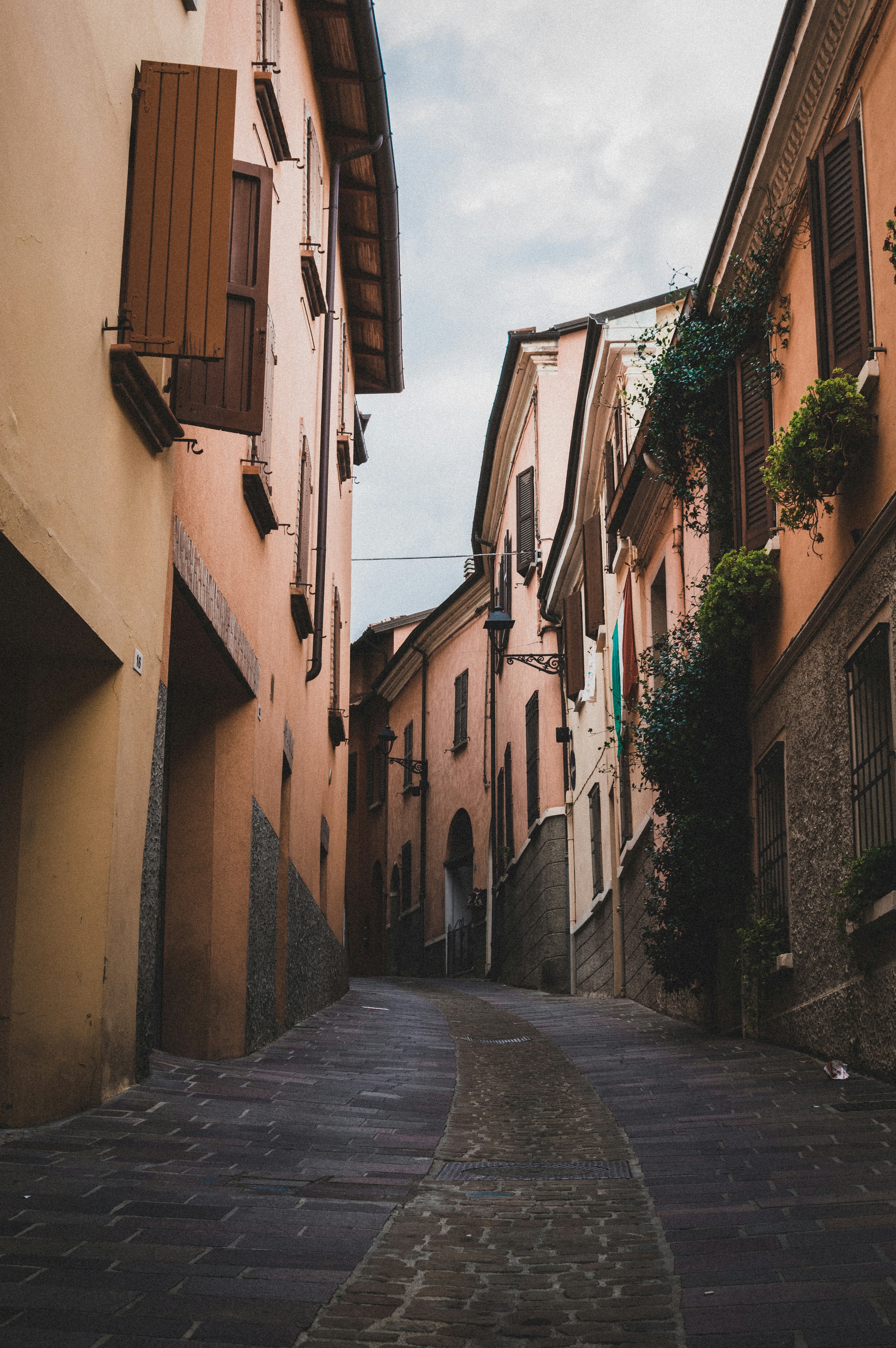 Photo by luca_severin