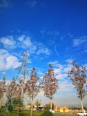 A landscape featuring tall electrical power lines and a steel transmission tower against a backdrop of a bright blue sky with scattered white clouds. Several deciduous trees with autumn foliage are lined up in the foreground. In the distance, there is a small building and a vehicle. The overall setting suggests an intersection of nature with industrial elements.