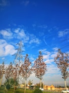 A landscape featuring tall electrical power lines and a steel transmission tower against a backdrop of a bright blue sky with scattered white clouds. Several deciduous trees with autumn foliage are lined up in the foreground. In the distance, there is a small building and a vehicle. The overall setting suggests an intersection of nature with industrial elements.