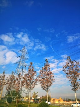 A landscape featuring tall electrical power lines and a steel transmission tower against a backdrop of a bright blue sky with scattered white clouds. Several deciduous trees with autumn foliage are lined up in the foreground. In the distance, there is a small building and a vehicle. The overall setting suggests an intersection of nature with industrial elements.